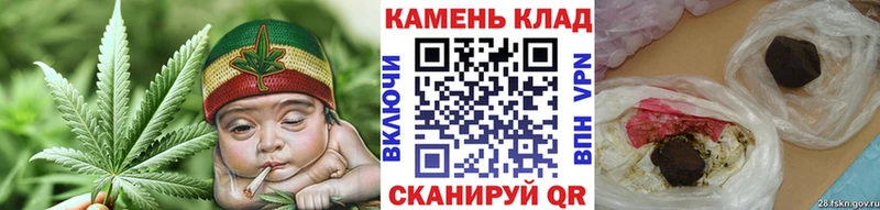 где продают   Болотное  ГАШИШ индика сатива 
