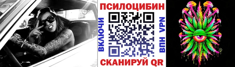 Псилоцибиновые грибы прущие грибы  купить   кракен зеркало  Болотное 